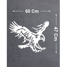 60x47 Cm