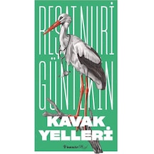 Kavak Yelleri Yeni Kapak / Reşat Nuri Güntekin