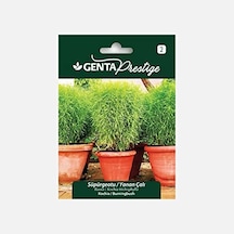 Süpürgeotu/yanan Çalı Çiçek Tohumu