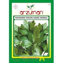 Arzuman D'Giant Italiana Maydanoz Tohumu 25 GRam