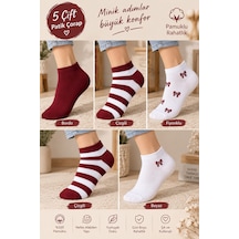 Hitit Socks Kadın 5 Çift Çizgi Ve Fiyonk Desenli Pamuklu Patik Çorap Bordo Beyaz Asorti