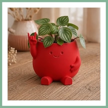 Bşkvirgo 3d Baskı Smiley Face Planter - Gülümseyen Karakterli Saksı-kırmızı Bsk2026 Standart