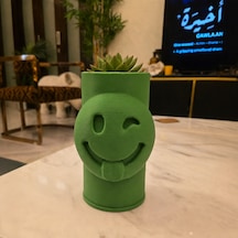 Bezos 3d Baskı Emoji Planter - Göz Kırpan Yüzlü Sukulent Saksısı-yeşil Dfnbez
