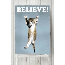 Believe Cat Hayvan Posteri