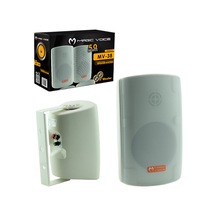 Magicvoice MV-38 Trafolu Duvar Tipi Çift Hoparlör