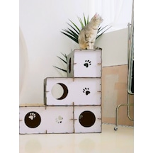 Catssle Kedi Oyun Evi Ve Tüneli Modüler 3 Katlı Karton