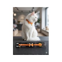 Orange Floa Kedi Tasması