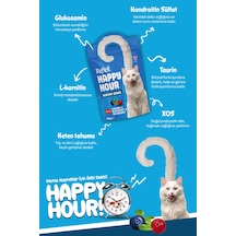 Reflex Happy Hour Somonlu Ve Yaban Mersinli Destekleyici Kedi Ödülü 60 Gr 22