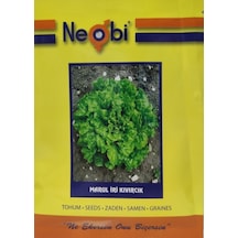 Neobi Marul İri Kıvırcık 10GR