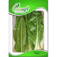 Pazı Tohumu 6 Paket