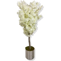 Kırık Beyaz Lüx Yonca Yaprak Bahar Dalı Yapay Ağaç 180 Cm 30x30 Metal Saksı