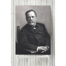 Louis Pasteur Bilimsel Poster