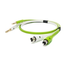 Neo D Xft Class B / 1.0 Mt