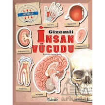 Gizemleri Öğrenelim - Gizemli İnsan Vücudu