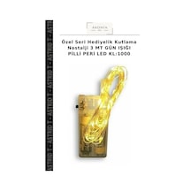 Özel Seri Hediyelik Kutlama Nostalji 3 Mt Gün Işığı Pilli Peri Led Kl:1000