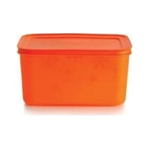 Tupperware Alaska Turuncu Saklama Kabı Kapaklı 25 L Çok Renkli