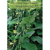 Zencefil Organik Hibrit Salatalık Tohumu 10 Adet Badem Hıyar Tohumu F1 Badem-silor Sku: Smgstk9c44bf06db Açık Gri
