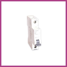 Gees Global B32 1 Kutuplu N-otomat 1 Adet Gbzs Çok Renkli
