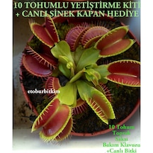 Dionaea Muscipula 10 Tohum Yetiştirme Kiti + Canlı Et Yiyen Bitki