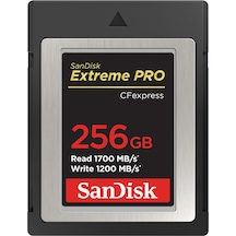 Sandisk 256Gb Extreme Pro Cfexpress Card Typeb (Sdcfe-256G-Gn4In)