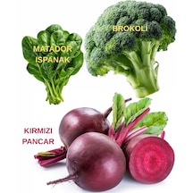 Tohum Seti Brokoli, Kırmızı Pancar, Ispanak 20 Gr.