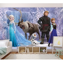 Elsa Karlar Ülkesi Duvar Kağıdı Çocuk Odaları Için Frozen (397455034)