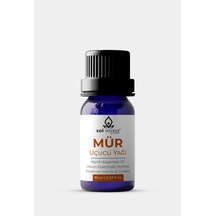 10 ML