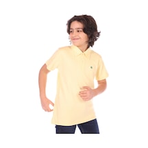 Sarı