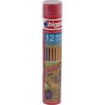 Bigpoint Bp941-12 Metal Tüpde Kuru Boya Kalemi 12 Renk