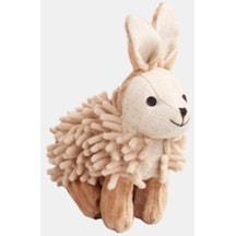 Pawise - 162 - Dog Molar Toy- Rabbit - Edntrend - Köpek Oyuncağı