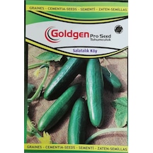 Goldgen Pro Seed Salatalık Köy