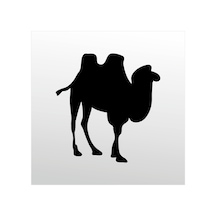 Folyo Sticker Deve 80cm Uzunluk Siyah