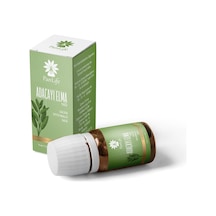 Panlife Adaçayı Elma Yağı 10 ML