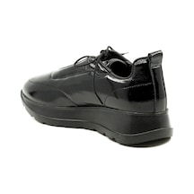 Dexter Tp2380-61 Çok Renkli