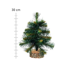 30 CM