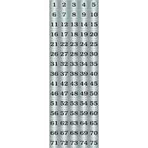 Kapı, Masa, Dolap Numarası Metal Yapışkanlı Gümüş Rengi 1-75