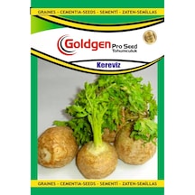 Goldgen Kereviz Tohumu 1 Paket