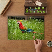 Bahçede Papağan Kuşu Tasarımı 240 Parça Ahşap Puzzle Ahşap Kutuda Mpy50087
