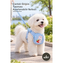 4 Adet Çantalı Göğüs Tasması Ayarlanabilir Nefesli