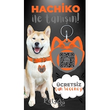 Petjoo 19.Hachiko Gri-Turuncu Qr'lı Köpek Künyesi