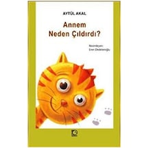 Annem Neden Çıldırdı? - Aytül Akal - Uçanbalık Yayıncılık