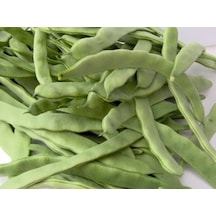 Boncuk Ayşe Fasulye Taze Yeşil Tohumu Yerli 50 Ad