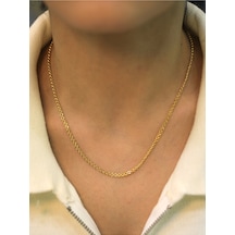 14 Ayar Altın Viyana Zincir Kolye Sarı