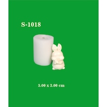 Havuçlu Tavşan Silikon Kalıp S1018