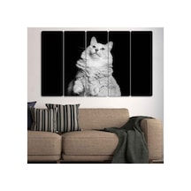 Beyaz Kedi 5 Parçalı Tablo Görsel - 702504399 Görsel