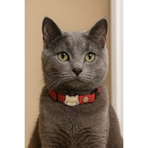 Mıt Kedi Boyun Tasması Kedi Figürlü Kırmızı