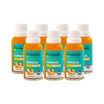 Beyorganik Organik Zencefil Shot 7 X 30 Ml