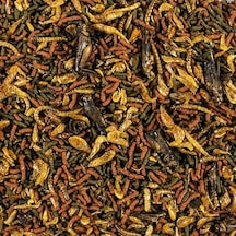 Tropical Soft Line Carnivore 50 Gram Balık Yemi Açık