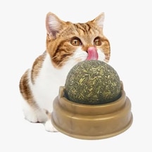 Kedi Nanesi Oyun Topu Açık Lila