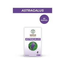 Astragalus Takviye Edici Gıda / 60 Cap